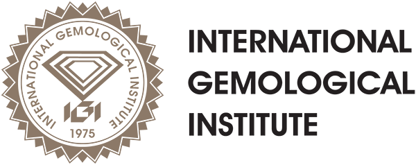 IGI logo illustration