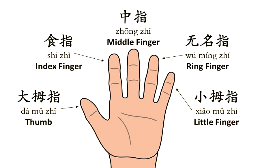 Chinese finger names