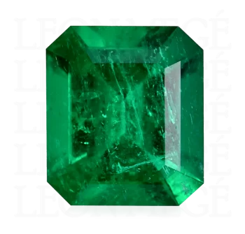 Leon Mege illustration of emerald