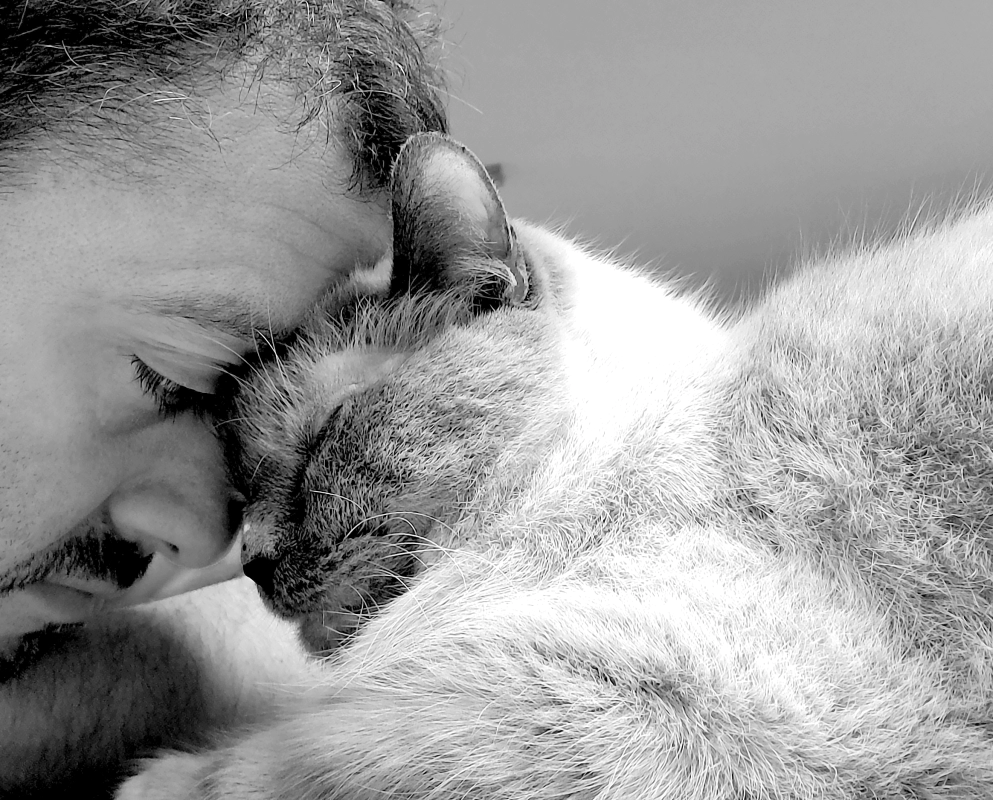 Leon Mege quiet moment with his late cat Vintik