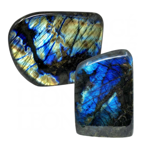 Blue Green Mexican Amber Resin Fossil Top Polished with Moss