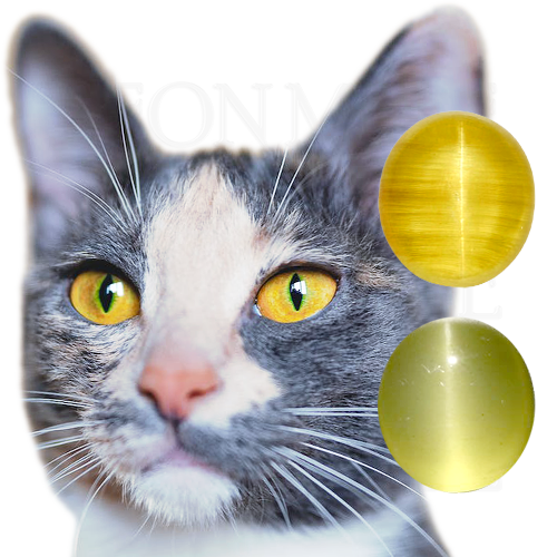 Chatoyancy cat's eye golden beryl illustration