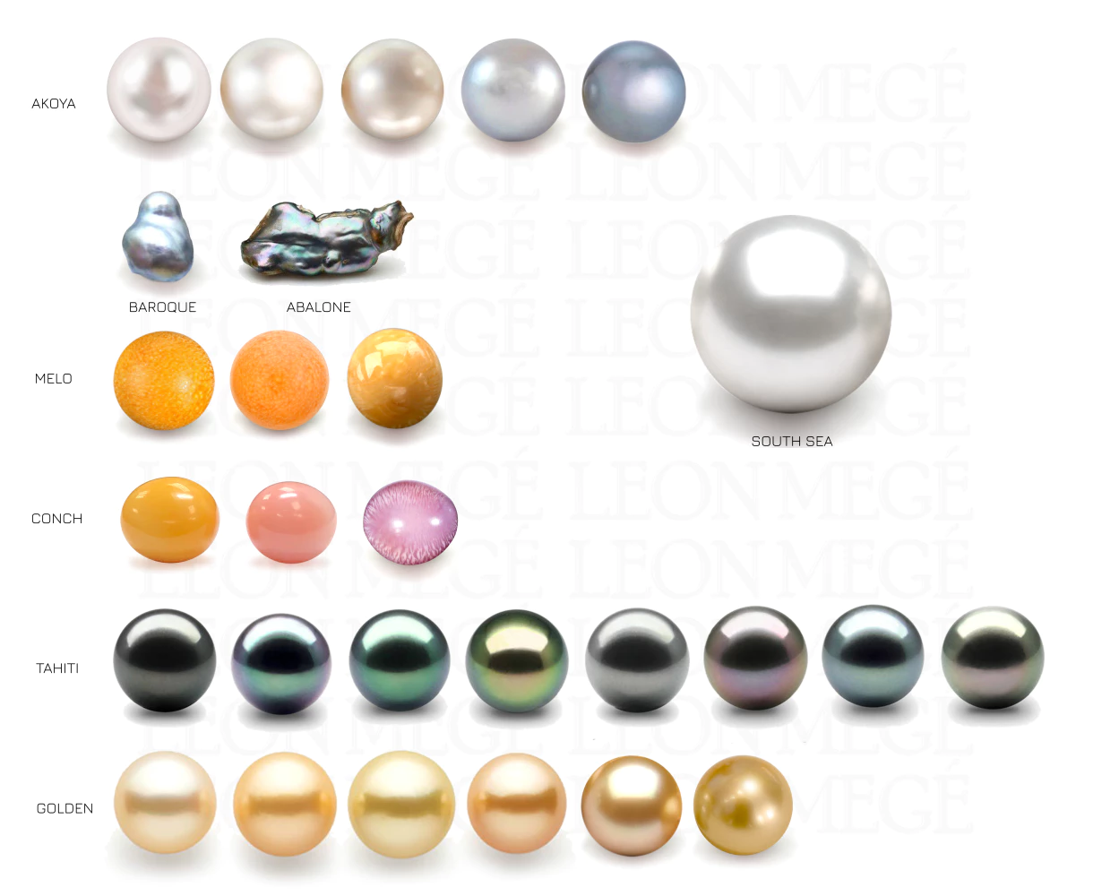 Pearls types illustration Leon Mege