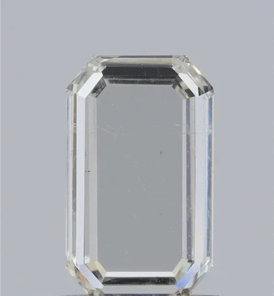 Leon Mege Portrait diamond illustration