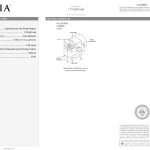 Fancy Deep Brownish Orangy Yellow 1176381448